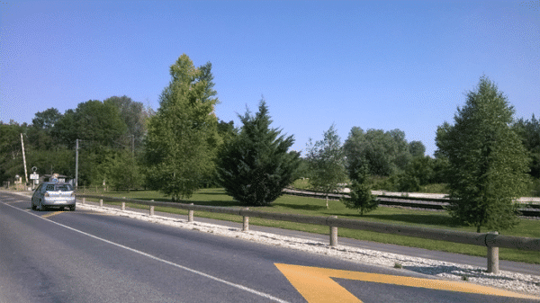 Road safety - wood and steel T22 guardrail
